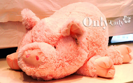 臺灣小姐的家居店為何火暴(四)