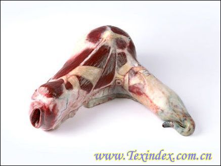 點擊看大圖 豬肉做的家居用品你敢用?