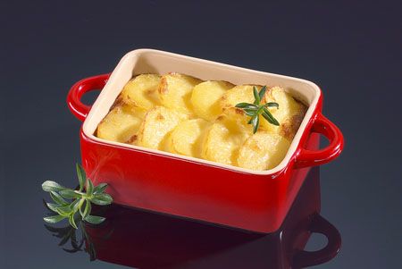 ��(gu��)echenprofi�N���O(sh��)Ӌ(j��)