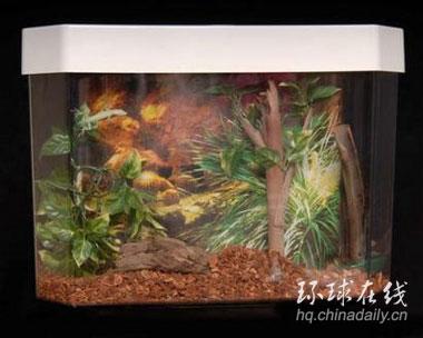 能養魚的馬桶衛浴添生趣