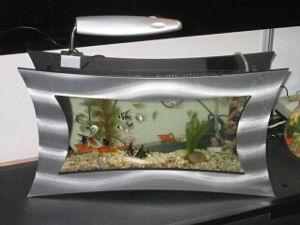 �ڒ��~�ס�չʾ��(g��)��Ʒζ