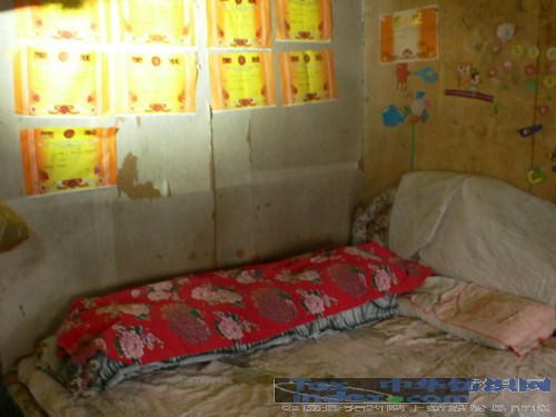 艾萊依彩虹計(jì)劃系列報(bào)道之五