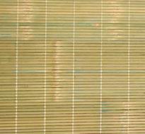 �}�M���ϯ���N����