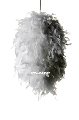 千奇百怪的燈飾 羽毛和面條做的燈