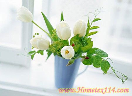 10����Ȥ�aƷ��׃�Ҿ�����