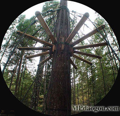 ������˼��(chu��ng)�����w�Ƅӷ���