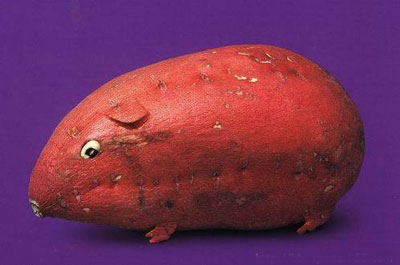 惟妙惟肖的創意蔬菜造型