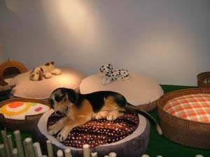 “小資”居家必備物品