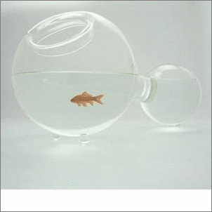 ��Ҿ�Ʒ�w����һ�ӵ�����