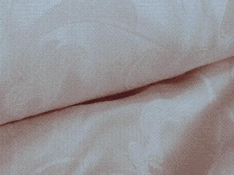 魏橋提升實力新品開發有成效