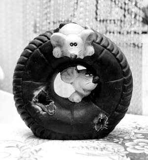 鼠年給家里添個“鼠來寶”