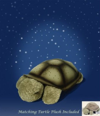 奇妙可愛的發(fā)光烏龜燈