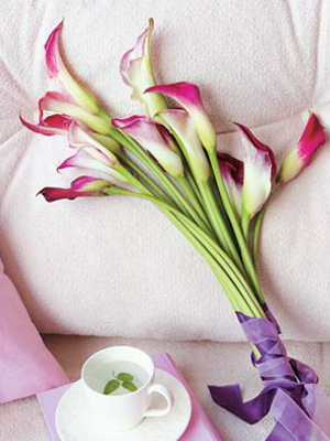 �Ҿ���Ʒ�b�c���˹�������