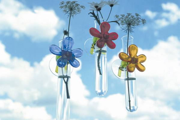 �n����������Ҿ�