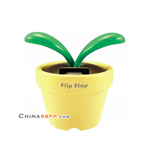 令你心動的可愛陽光Q盆栽