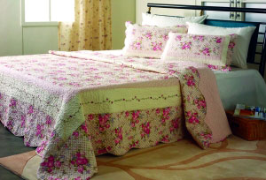 5�¼Ҽ����� ���x��ɫ����