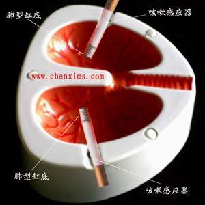 超級無敵個性另類煙灰缸