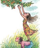 ʩ�����������΄��I�ɹ���