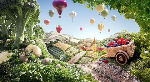 �߲�ʳƷ�ĳ��@�Gˇ�g����