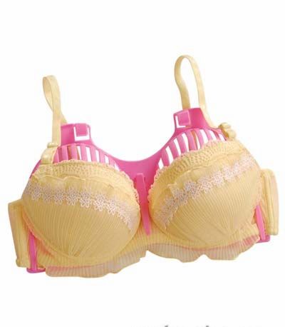 �ף����w���،��������