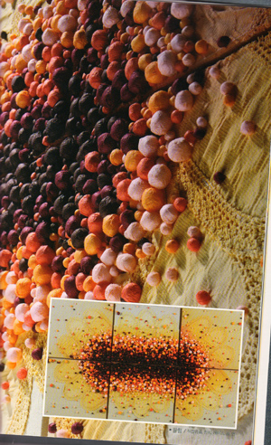 �n�����������p��