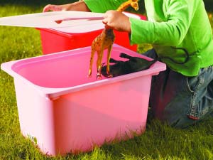 С�Ɍ��ü�Ʒ�o�����Ĝ�ܰ