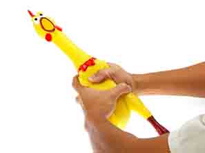 ������Ű�� ���T�p��С����