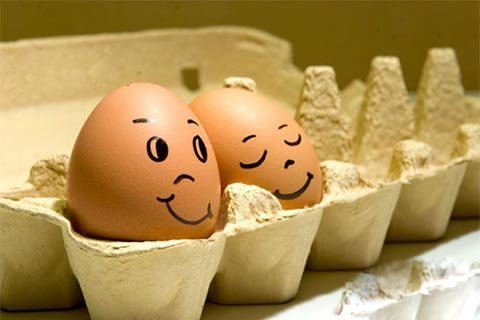 讓你笑掉大牙的雞蛋