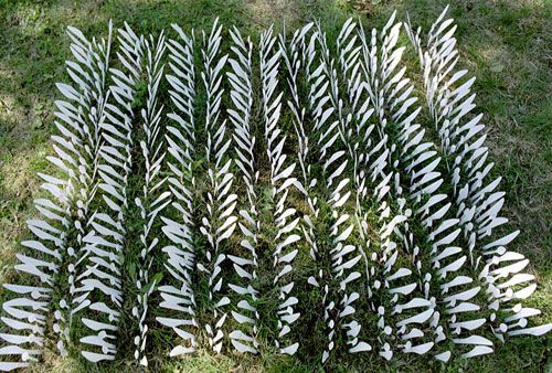 3 一次性餐具拼出別樣藝術