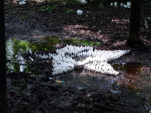 緊跟時尚 年輕人選擇的地板 一次性餐具拼出別樣藝術