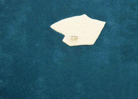 希望傳播環保呼聲的地毯