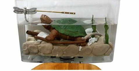 �ձ�͸���RͰ������