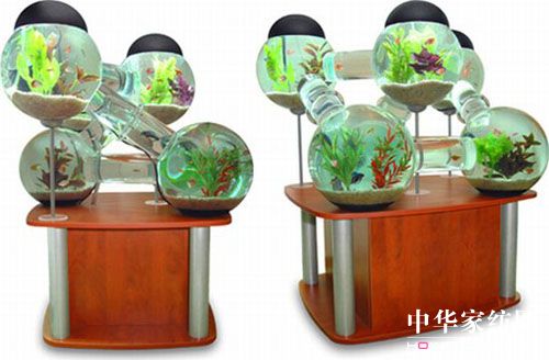 超乎你想象的創(chuàng)意魚缸