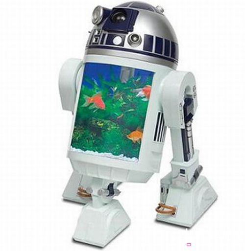 ����������Ą����~��