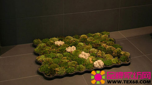 �����̺׌��ļҾӸ��킀��