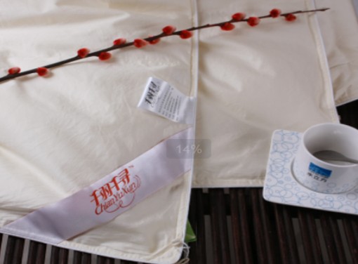 ǧ��ǧ����q��2010��Ʒ�l����