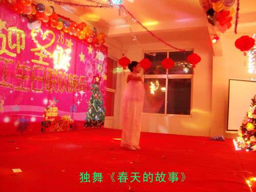 浙江遠夢2010圣誕聯歡晚會謝幕