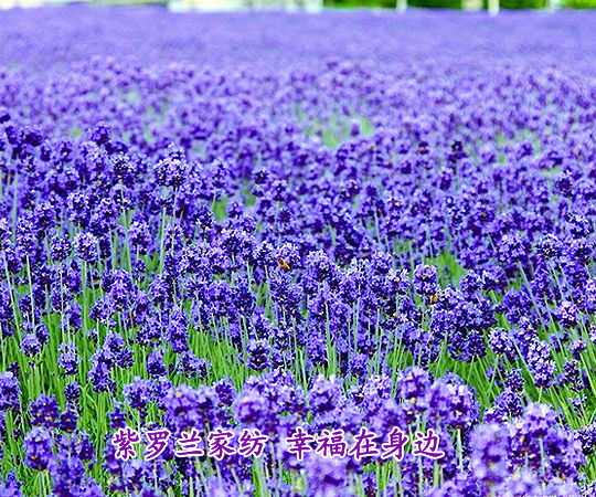 ���_�m�Ҽ� �Ҹ�����߅