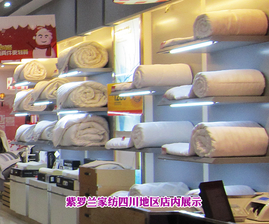 牽手紫羅蘭開創新人生