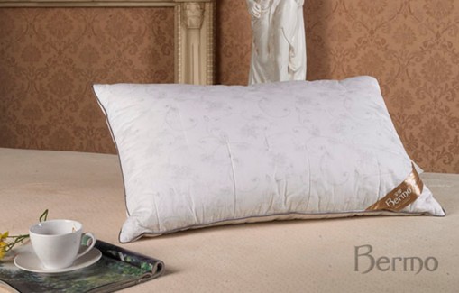 ���z���P(gu��n)�۸��H�ġ�о������