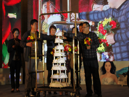 �Pʢ���{�{paisley��׌�����v�w