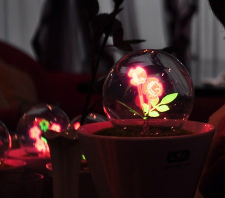 �����c�������Ի���Сҹ��