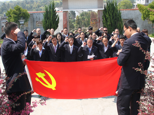 盛宇集團黨委開展清明祭掃烈士墓黨日系列活動