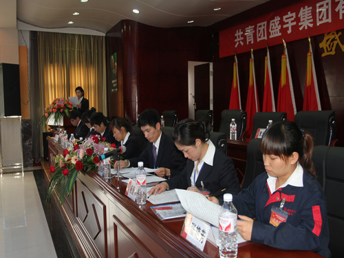 盛宇集團(tuán)團(tuán)總支升格為團(tuán)委,第一次團(tuán)代會(huì)隆重召開(kāi)