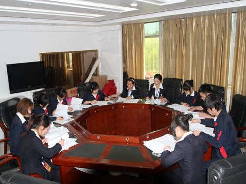 盛宇集團(tuán)團(tuán)總支升格為團(tuán)委,第一次團(tuán)代會(huì)隆重召開(kāi)