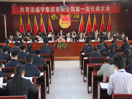 盛宇集團(tuán)團(tuán)總支升格為團(tuán)委,第一次團(tuán)代會(huì)隆重召開(kāi)
