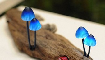 ����LED���䘶�ϵ�СĢ��