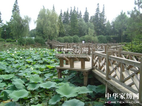 ���_�Ҽ��M���T���������