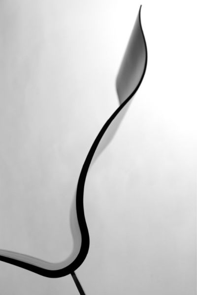 ErgonNomos:婀娜多姿的碳纖維椅