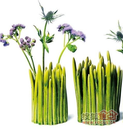 加入綠色夏日家居“萌”動起來